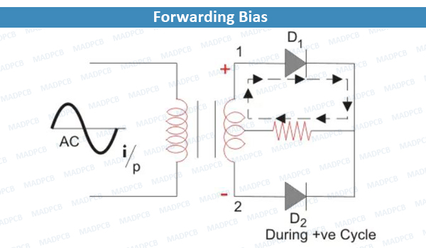 Forwarding Bias