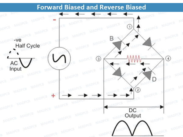 Forward Biased and Reverse Biased